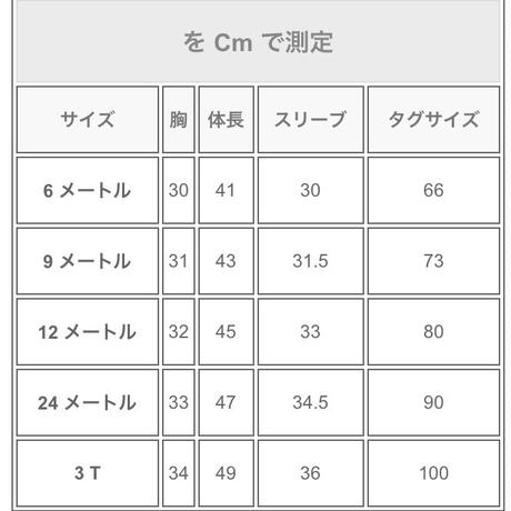 5d8169651c77075cae6f1b7b