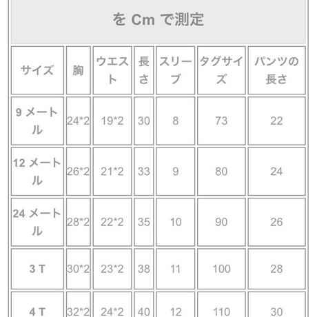 5cc1769e5845c859a7149d8c