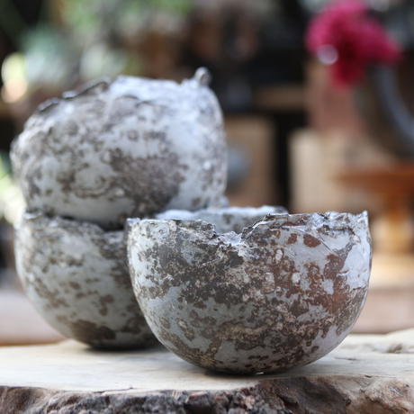 たけろうポット シロサビ ボール M - www.dlghypermarket.com