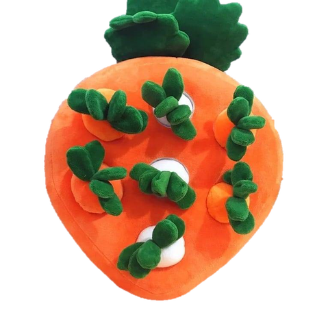 ノーズワーク Stores