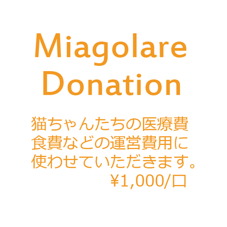 5847ad479821cc589a002bac