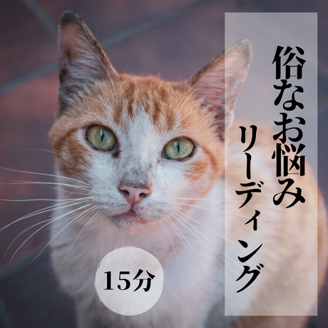 5e572dc296fa432a916e31e8