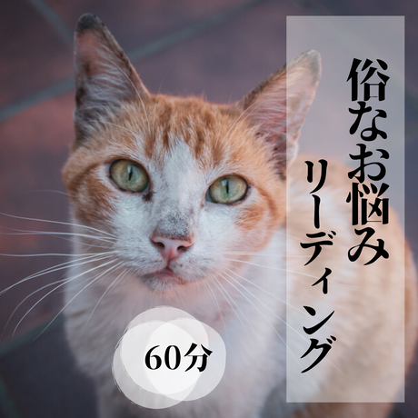 5e5730045d485c5fb0c58505