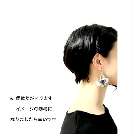 5d3014a02e89b75456ee246c