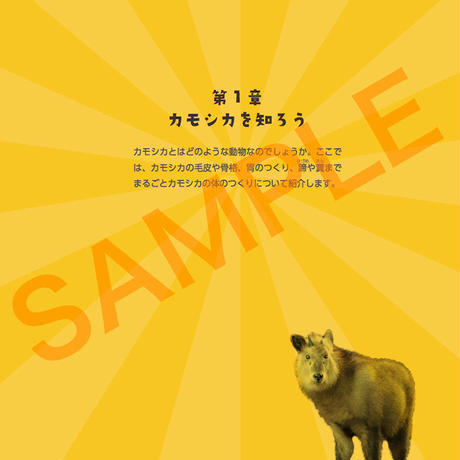 58ef7f03997ee27c9000b90d