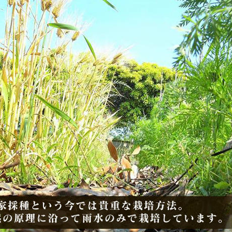 59352ddd3210d5313f0012fb