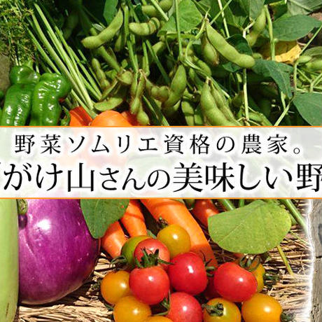5931222cf22a5b208600577f
