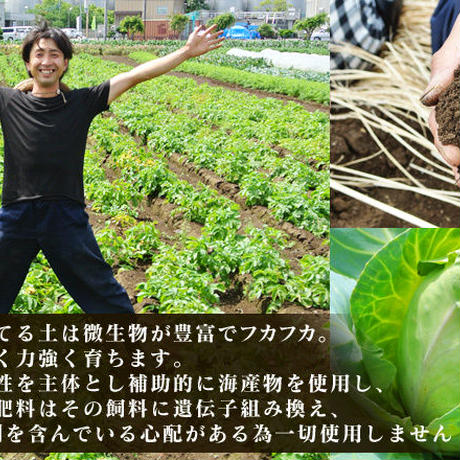 5931222cf22a5b208600577f