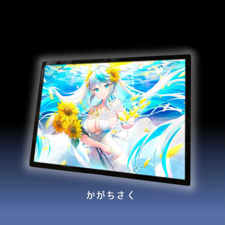 5f485e90afaa9d6404f125b1