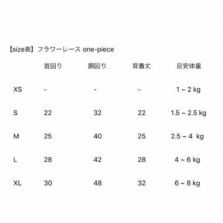 5cc42e575845c82fc0f4e64d