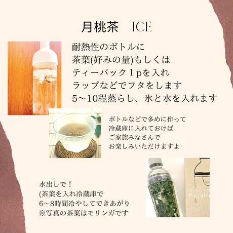 月桃茶　リーフType (10g)　〜ほぼほぼポリフェノールでできてるんじゃないかな。という薬草！女性ホルモンを味方にしたい方はコレ！！！〜