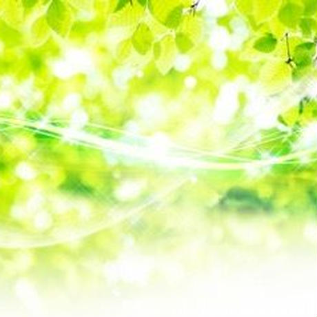 5bc800ccef843f6c69000015