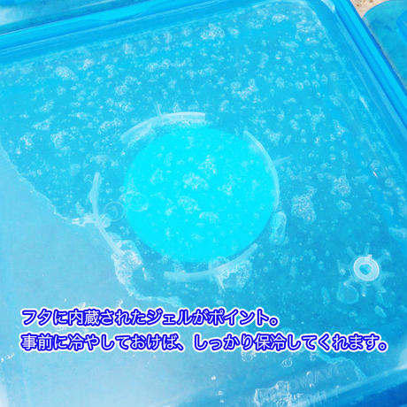 5cbd7d8aa8945273f3df79e4