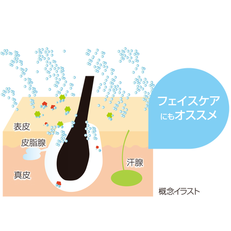5c6ca9603b63656e056e7eb1