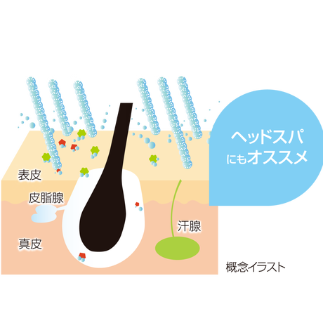 5c6ca9603b63656e056e7eb1