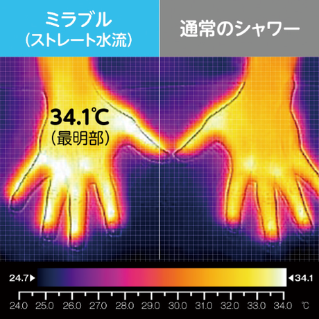 5c6ca9603b63656e056e7eb1