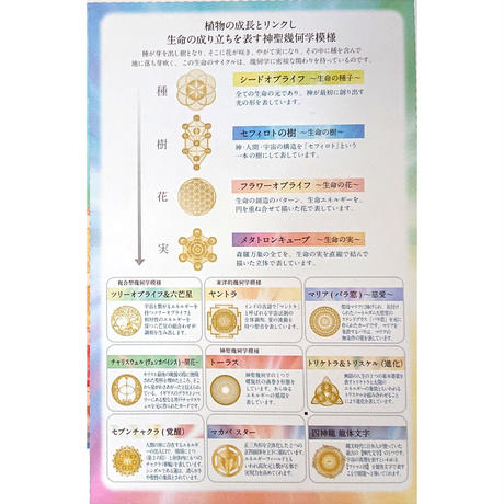 5dd5992eb2f6fd1cb17cb57a