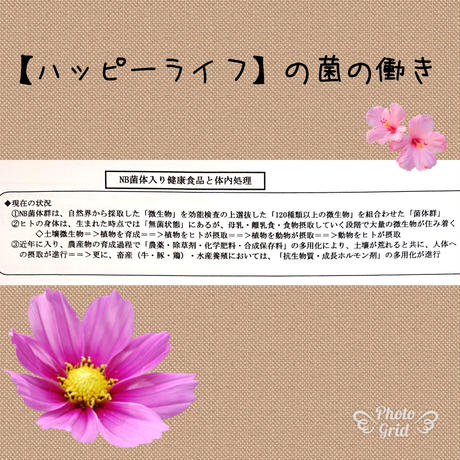 5ead06e3515762313e5f4392