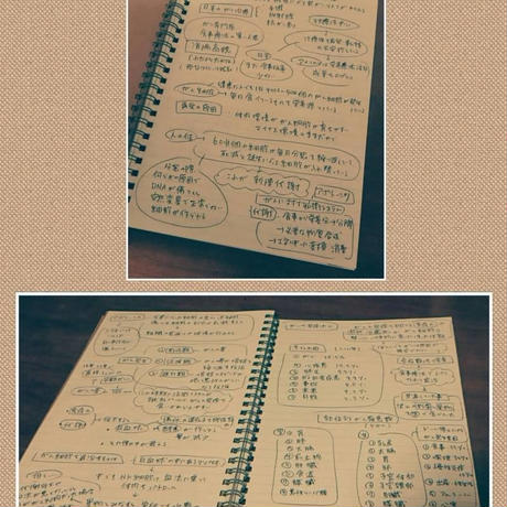 5a93d9d5428f2d56450017c5