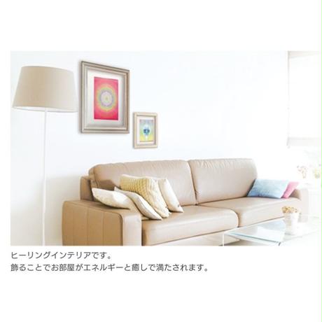 5dd52549c6aeea3dac8184e8