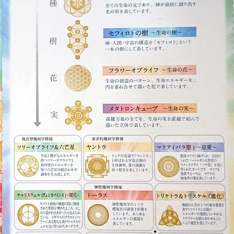 5dd599e2e390077baece7055