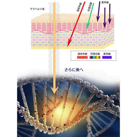 5b76741c5f78663f7700013c