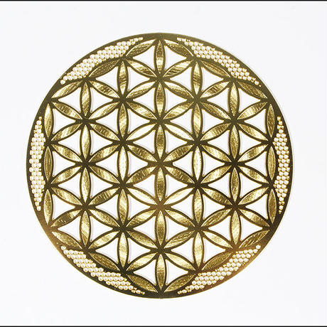 5dd59aa5e390076e50cea163