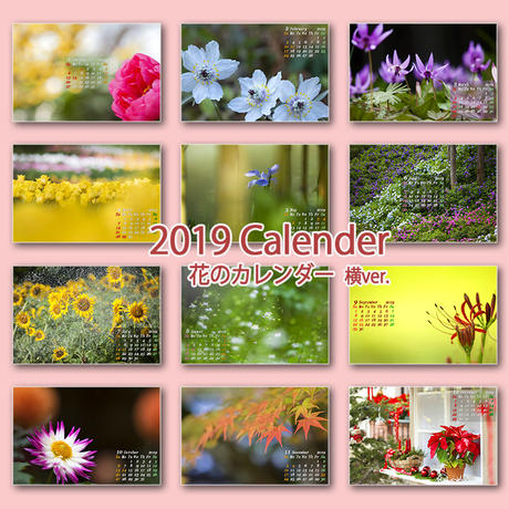 5c057bee2a28623fdb57b787