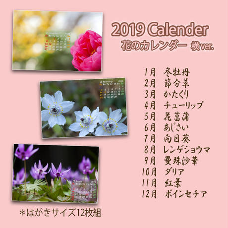 5c057bee2a28623fdb57b787