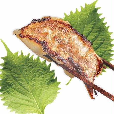 熊本産放牧豚「走る豚」の肉餃子（冷凍）青じそ入りセット　無添加　ニンニク不使用　8人前（スタンダード、青じそ各20個　計40個）＋餃子用特製黒酢だれ＋辣油　3/3.3/4　発送分　送料着払い