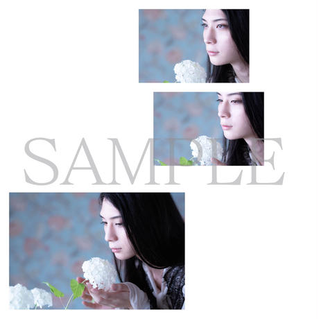5f12a1edec8fd373e1635987