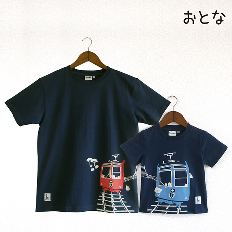 5b63c93450bbc36e250006e4
