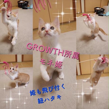 5b8fa06050bbc377790000a2