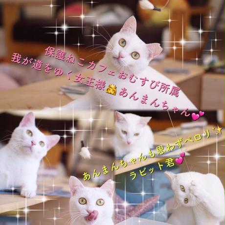5bdfe600ef843f5bdc000171