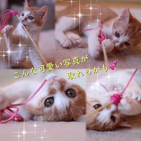 5b8fa06050bbc377790000a2