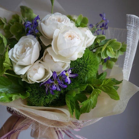 モルセラトーキョー Stores モルセラトーキョー Stores