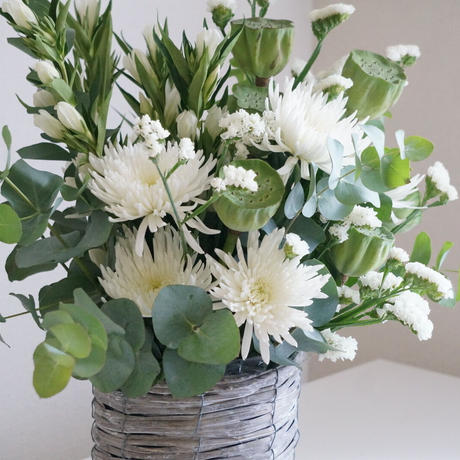 モルセラトーキョー Stores モルセラトーキョー Stores