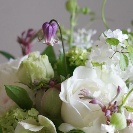 モルセラトーキョー Stores モルセラトーキョー Stores