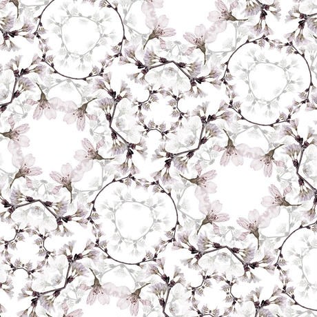 5c9334a4e2954e5e44bb070d