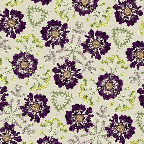 5c9334a2e2954e5e44bb06f4