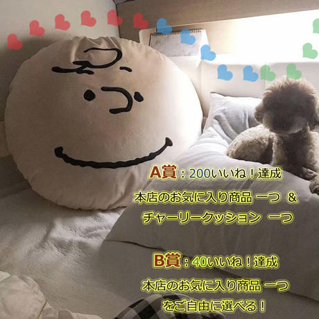 5dd5dc8b2785d812526ec5aa