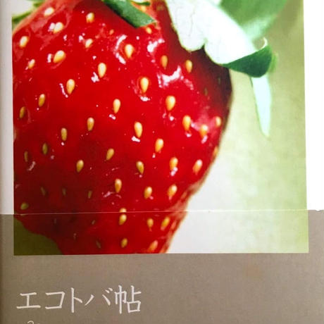594aa275f22a5b6a29005254
