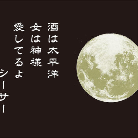 54a2c33d86b188ce2200212d