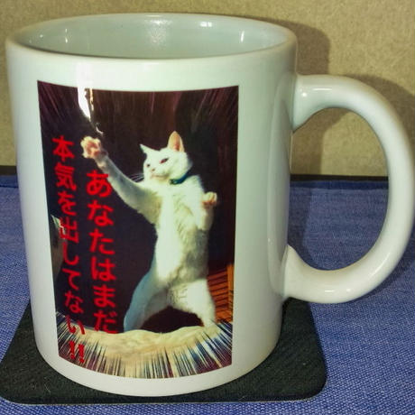 5dcd1f48e3900712d25b2e51
