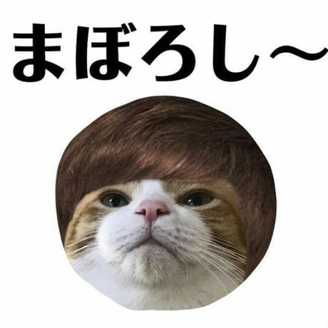 5cd91375e2954e4a3491a48b
