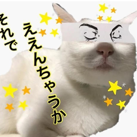 5ce7cbbc899b0e55afc6ba3b