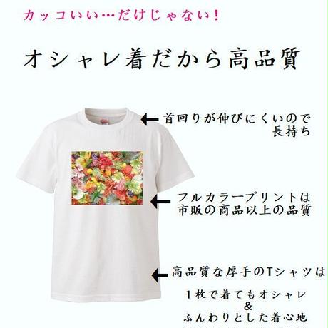 5be175b6ef843f16f80008ad