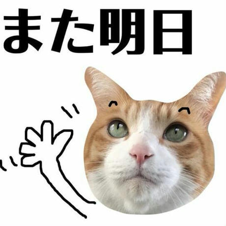 5cd91387e2954e4a3491a566