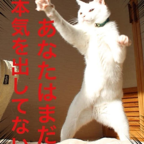 5cd40432adb2a10ca0690f97
