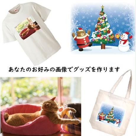 5cd91381e2954e4a3491a512